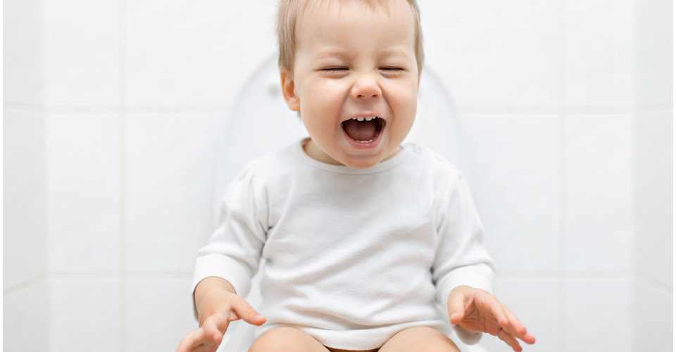 Toddler sitting on a small potty chair during toilet training.