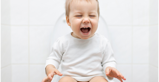 Toddler sitting on a small potty chair during toilet training.