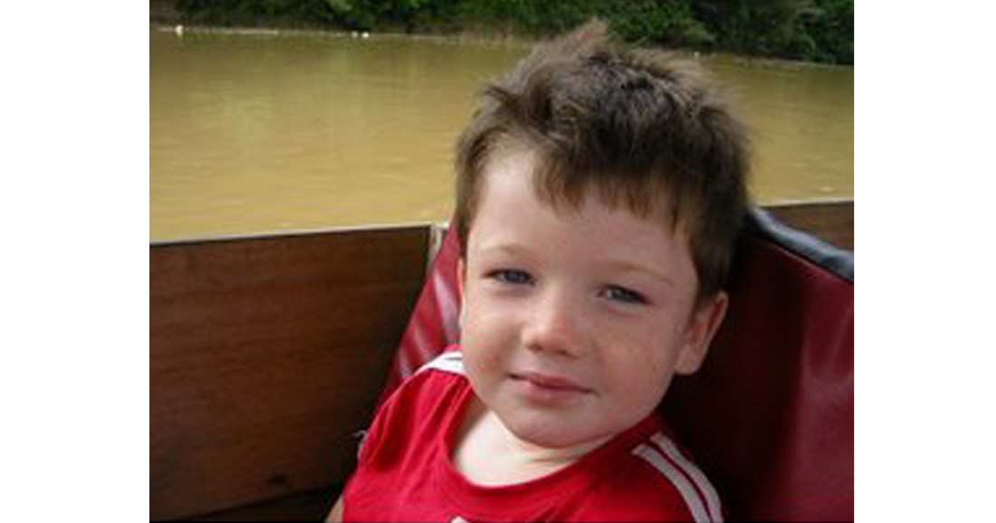 Bonds of Love: A Mother’s Story of Her Child’s Hornet Sting and Instant Parent Instinct